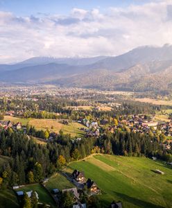 Halny znów szalał w Tatrach. Powalone drzewa w Kościelisku