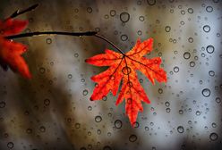 Śląskie. W czwartek odczujemy zmianę w pogodzie