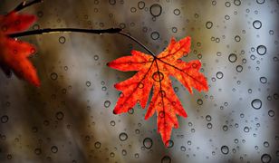 Śląskie. W czwartek odczujemy zmianę w pogodzie