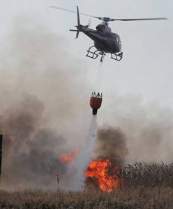 Biebrzański Park Narodowy płonie. Dym dotarł nad Warszawę