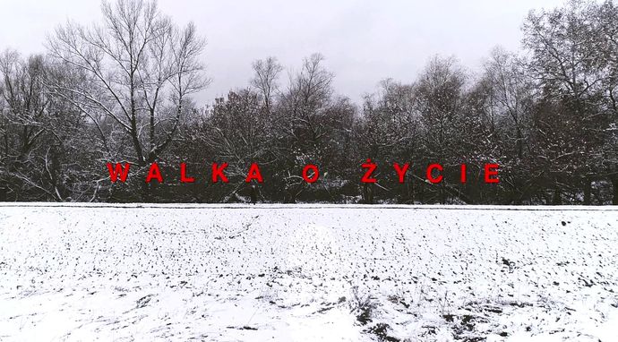 Walka o życie