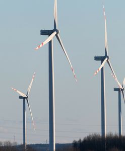 Odnawialne źródła energii. Jak to widzą komitety wyborcze?