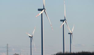 Odnawialne źródła energii. Jak to widzą komitety wyborcze?