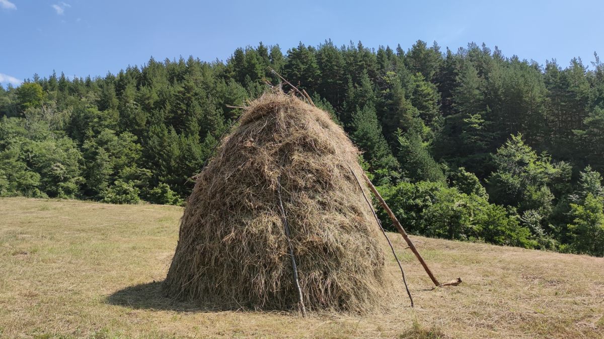 Krzyżówka z językowa