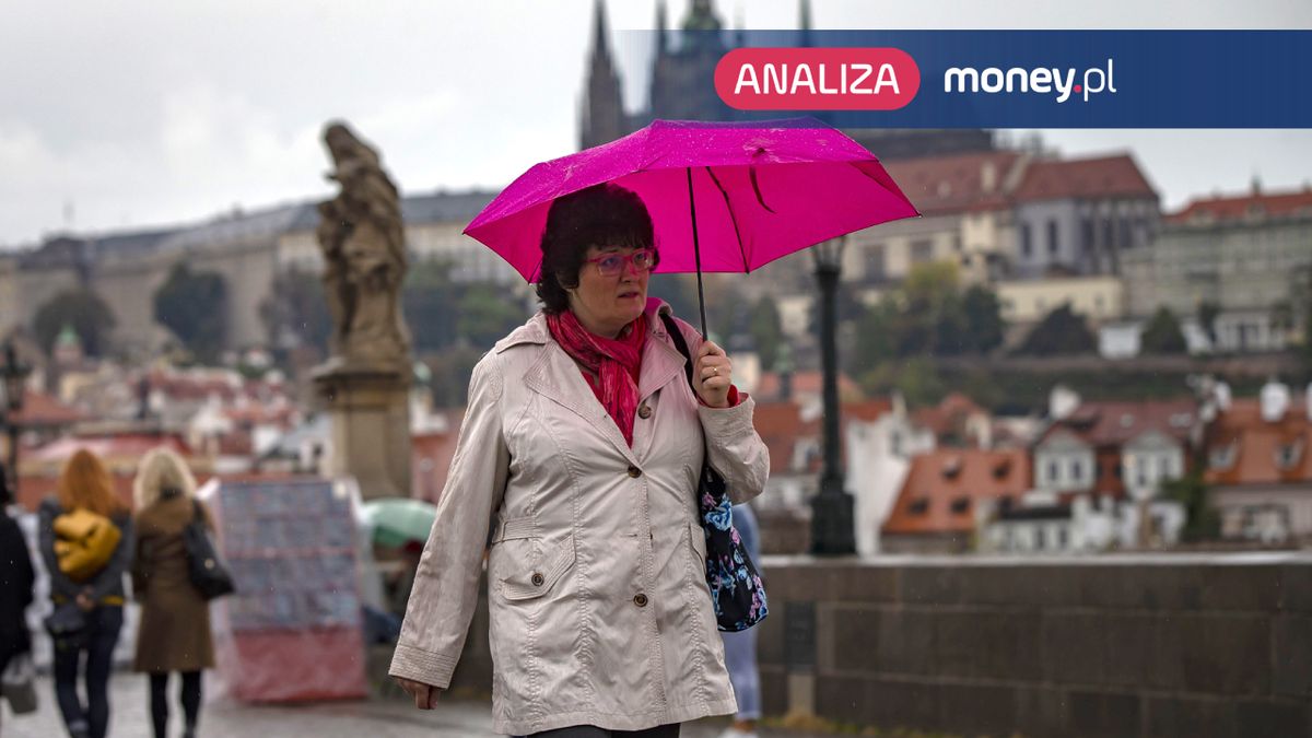Narodowy Bank Czech od grudnia 2023 r. konsekwentnie obniża stopy proc.