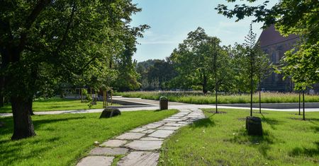 Wrocław. Rok zielonych projektów. Aż 26 mln zł do wydania