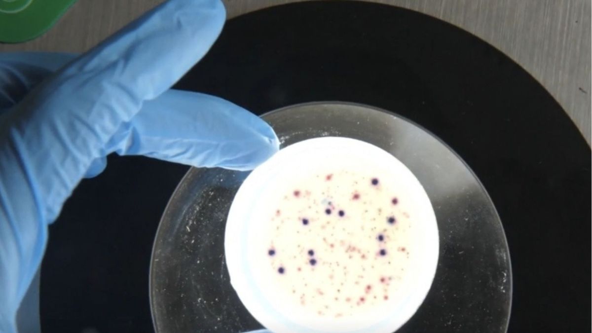 Stężenie koronawirusa rośnie w poznańskich ściekach