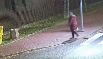 Dwie kobiety nagrane. 1 mln wyświetleń. Sceny pod Warszawą