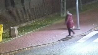 Dwie kobiety nagrane. 1 mln wyświetleń. Sceny pod Warszawą