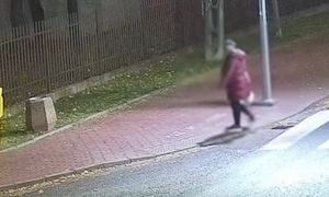 Dwie kobiety nagrane. 1 mln wyświetleń. Sceny pod Warszawą