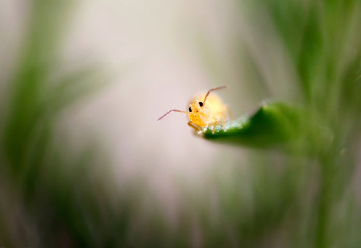 Dzikie zwierzęta wcale nie są takie straszne. Oto najzabawniejsze zdjęcia z konkursu Comedy Wildlife Photography Award 11