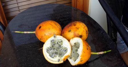 Granadilla. Właściwości zdrowotne (WIDEO)