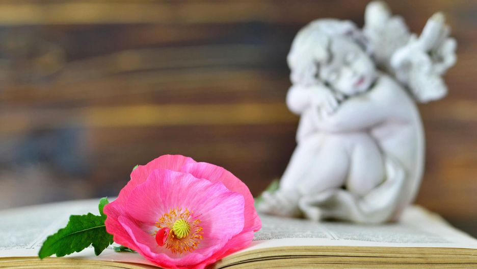 Jego cząstka jest ze mną na zawsze - rozmowa z Pawłem Hadyńskim, ojcem Bartka, który odszedł dwa lata temu