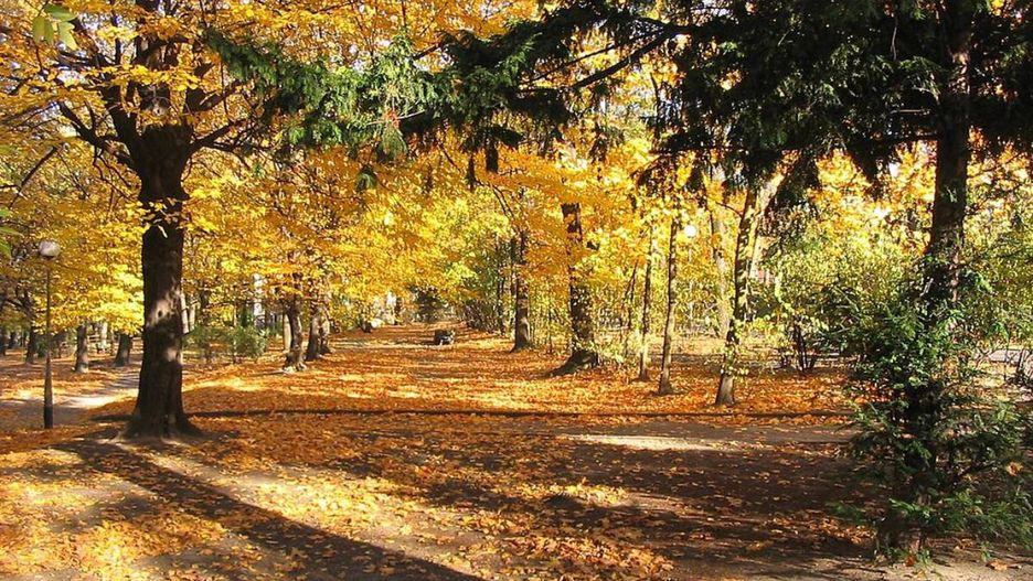 Park Tysiąclecia