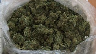 Puławy: 44-latek aresztowany za narkotyki. Policjanci znaleźli marihuanę, mefedron i amfetaminę