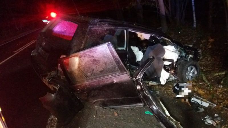 Zgorzelec. Śmiertelny wypadek. Samochód osobowy wpadł do rowu