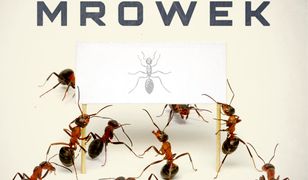 Rewolucja mrówek