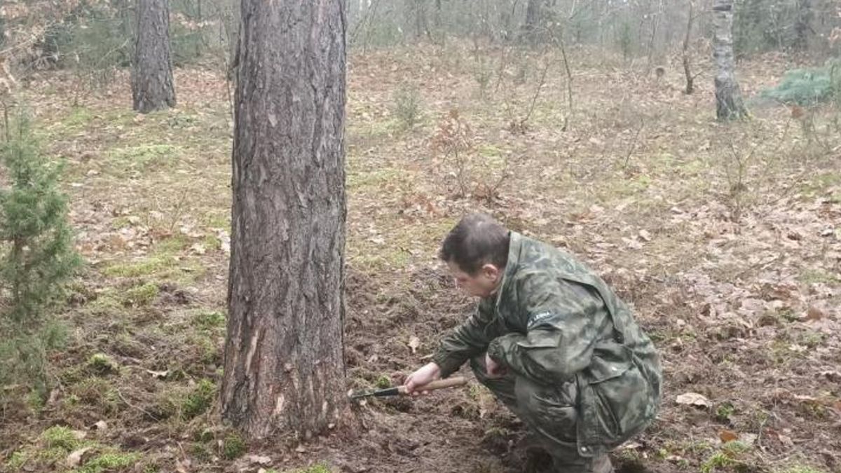 Zdjęcie ilustracyjne. 