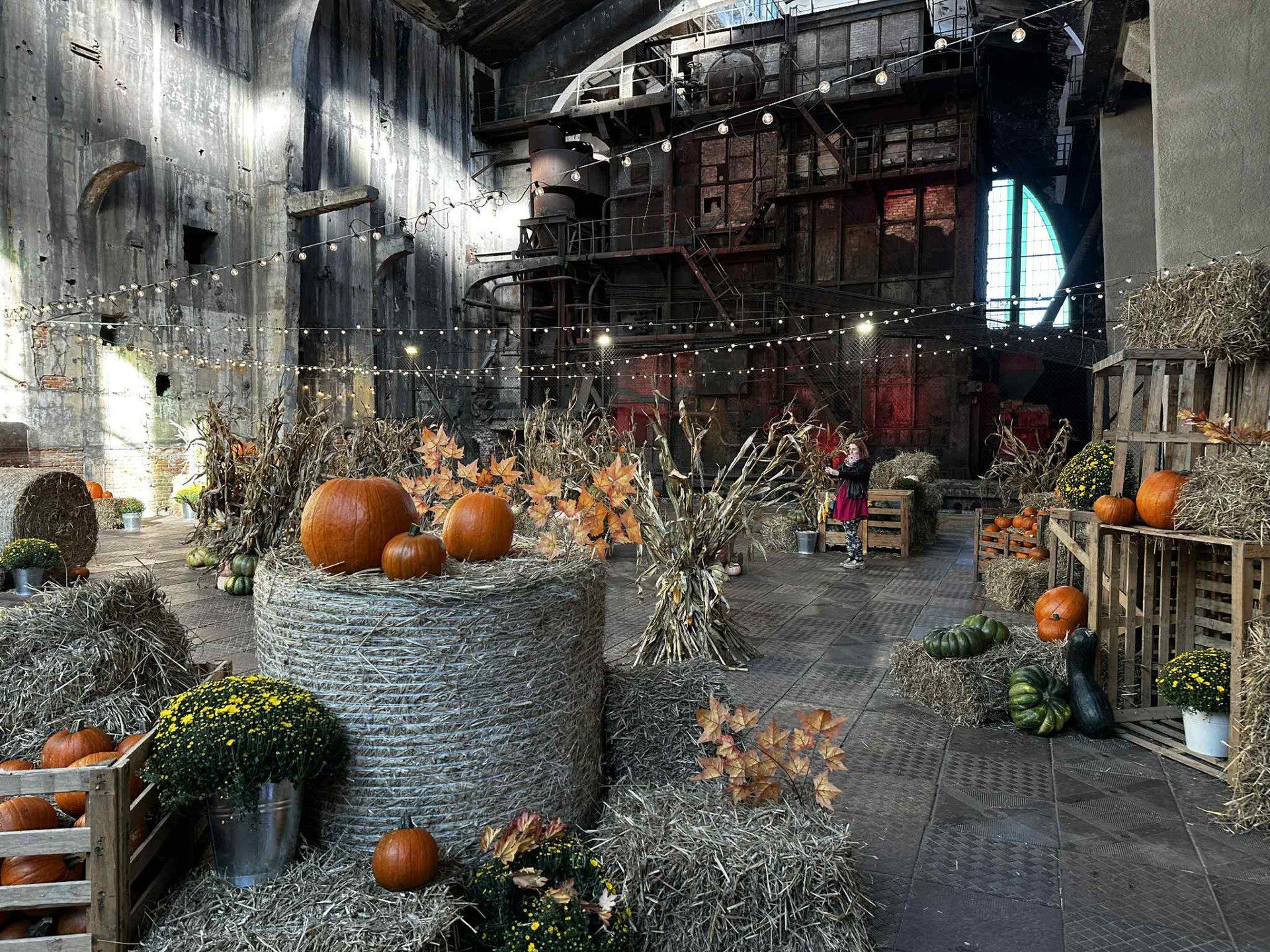 fuzja lodz, farma dyń, kotłownia