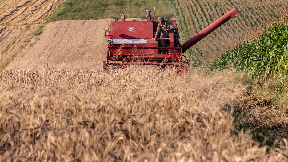 Wyjątkowo szybkie żniwa w Polsce 