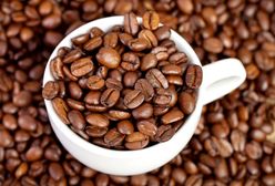 Czy kawa jest zdrowa? Wszystko, co warto wiedzieć o kawie