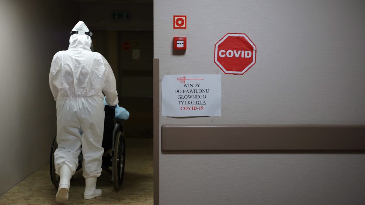 Koronawirus w Polsce. Nowy raport Ministerstwa Zdrowia