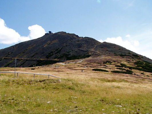 Obraz