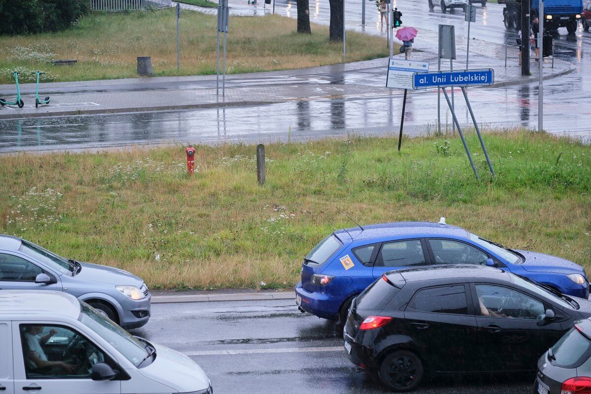 Spacer kaczek ulicą w centrum Lublina