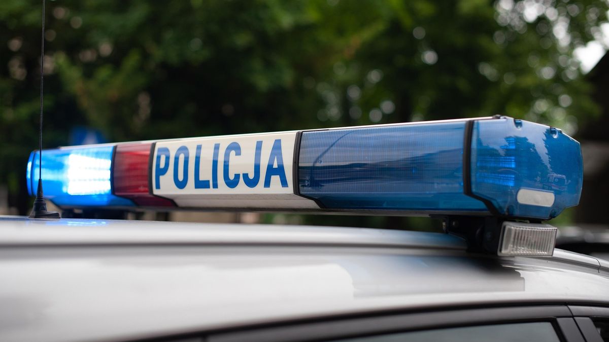 Materiały prasowe / Pixabay / AndrzejRembowski / Na zdjęciu: radiowóz policji