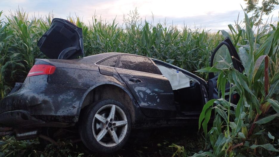 Samochód znaleziono w polu kukurydzy. 