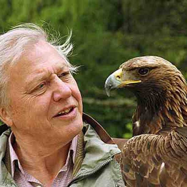 Obrazek