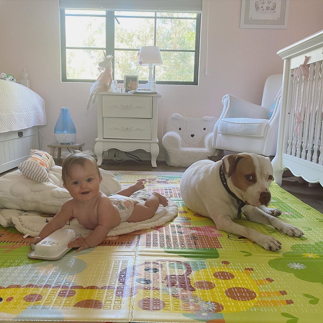 Jak mieszka Joanna Krupa?