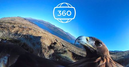 360-stopniowe wideo, dzięki któremu poczujesz się, jakbyś latał na orle