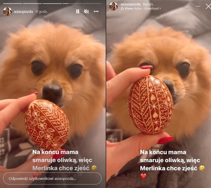 Joanna Opozda relacjonuje przygotowania do Wielkanocy 