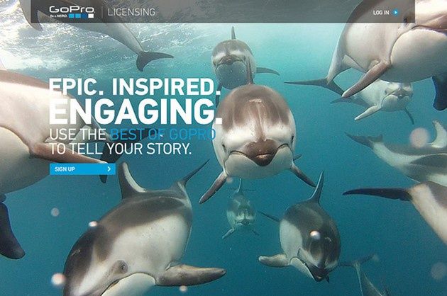 GoPro Licensing delfiny