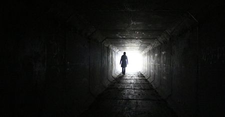 Ludzki mózg w momencie śmierci. Naukowcy próbują rozwikłać zagadkę