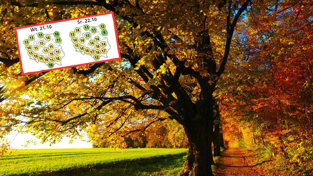  W październiku jeszcze wróci ciepło. Szansa na złotą polską jesień?