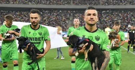 Wyszli na mecz z psami. Ten gest obiegł świat