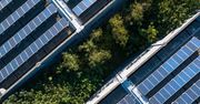 Pleszew: Park Fotowoltaiczny Planty łączy ekologię z funkcjonalnością