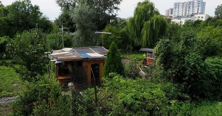 Lublin dofinansuje ogrody działkowe. 250 tys. zł do wzięcia, wnioski do końca marca