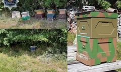 Polkowice. Kradli ule z pszczołami. Udało się odzyskać mienie warte ponad 16 tys. zł.