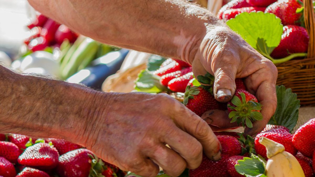 Maltańczycy średnio dożywają 84 lat