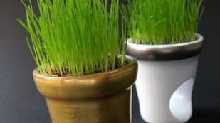 Bardzo nietypowy pierścionek 1