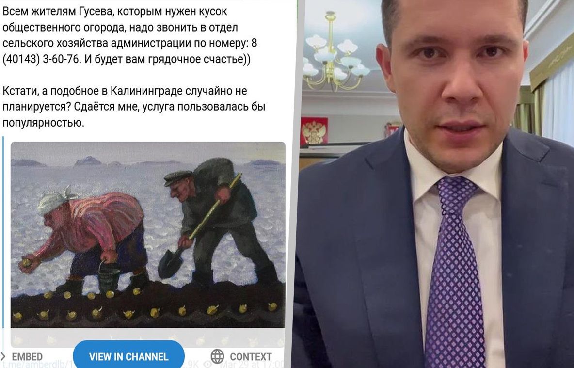  Obwód Kaliningradzki. Gubernator Anton Alichanow walczy z drożejącą żywnością. Proponuje się mieszkańcom uprawę własnych ziemniaków 