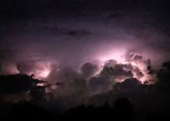 Nocne widowisko nad Wielkopolską. Leśnicy pokazali nagranie