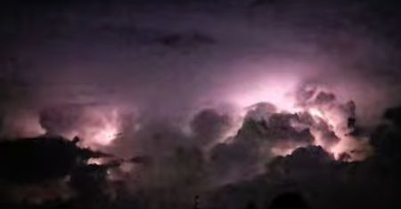 Nocne widowisko nad Wielkopolską. Leśnicy pokazali nagranie