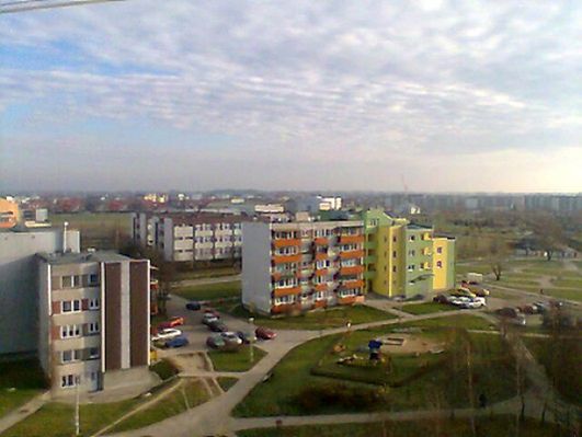 Obraz