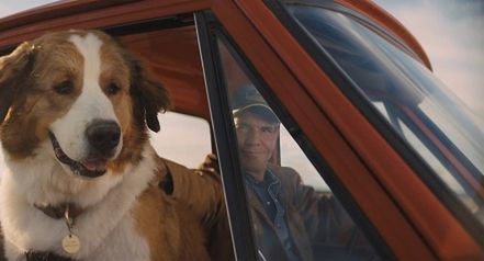 Nowe codzienne pasmo filmowe TVP Kultura od 8 grudnia