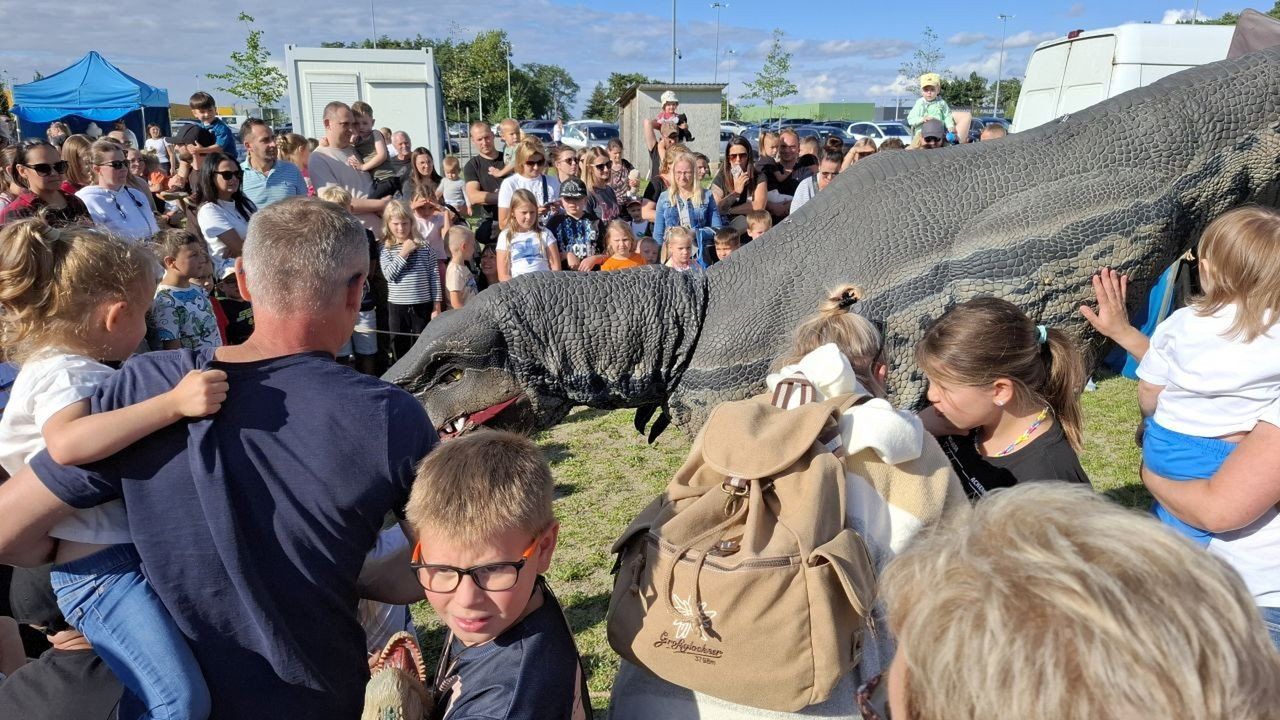 Piraci i dinozaury pod CRS-em. Prehistoryczny gad spacerował wśród zielonogórzan i dał się głaskać!