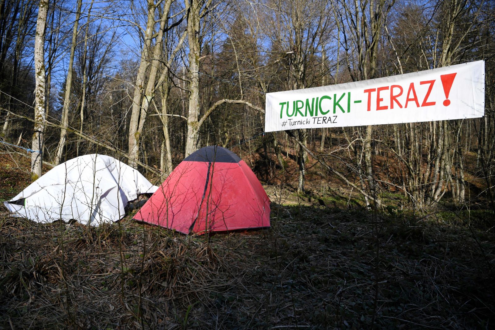 Podkarpackie. Aktywiści okupują las. Chcą utworzenia Turnickiego Parku Narodowego